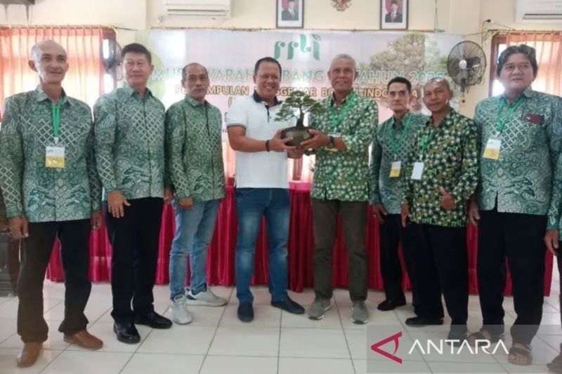 Belitung Kembangkan Bonsai untuk Tarik Wisatawan