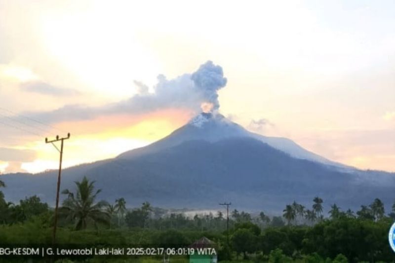 Gunung Lewotobi Laki-laki Erupsi, Semburkan Abu 900 Meter