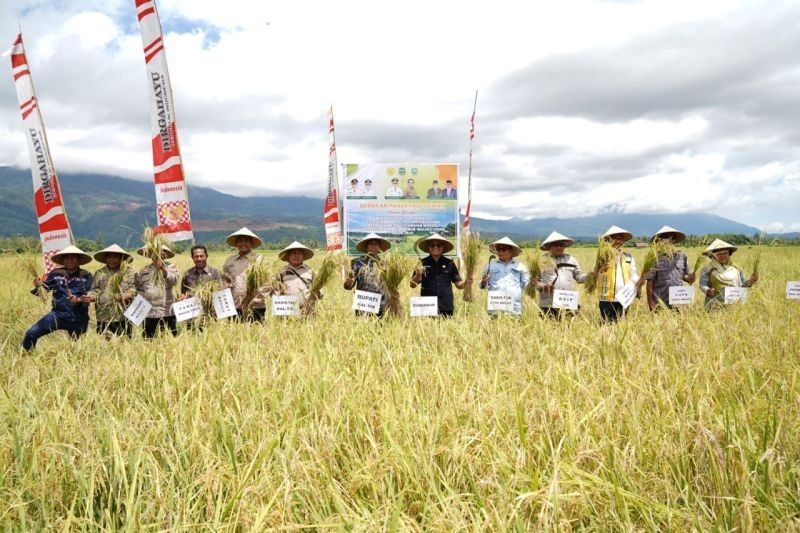 BI Dorong Kerja Sama Antar Daerah Atasi Defisit Beras Maluku Utara