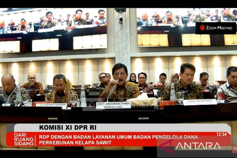 Anggaran BPDP 2025 Dipangkas 33,81 Persen, Fokus pada SDM dan Peremajaan Perkebunan