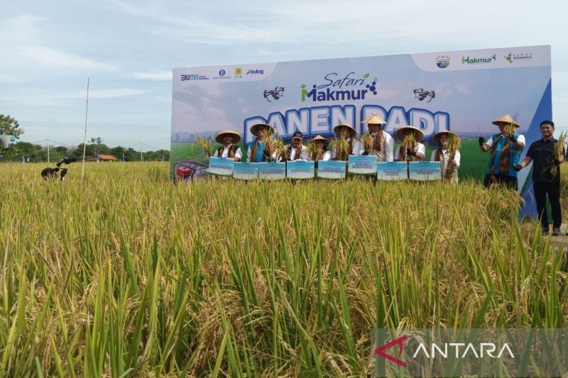 Ciayumajakuning: Menuju Lumbung Padi Nasional