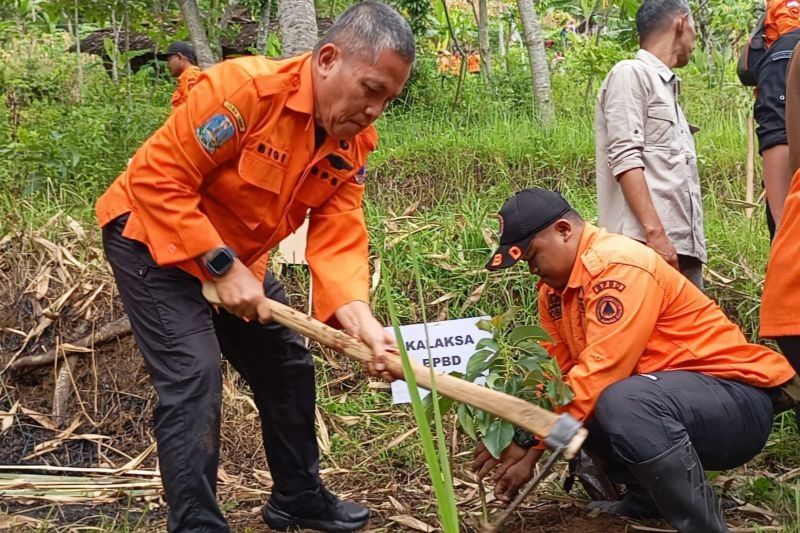 Jatim Tanam Ribuan Pohon untuk Cegah Bencana Hidrometeorologi