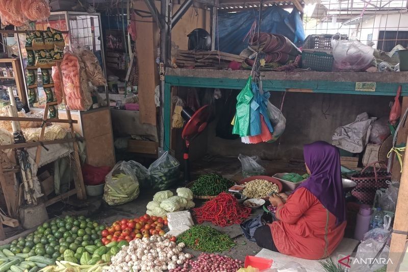 Harga Bahan Pokok di OKU Stabil Jelang Ramadhan, Disperindag Gencar Monitoring