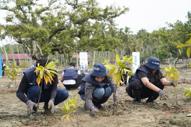 PNM dan Relawan BUMN Tanam 1.000 Mangrove di Sulteng, Cegah Abrasi dan Lestarikan Ekosistem