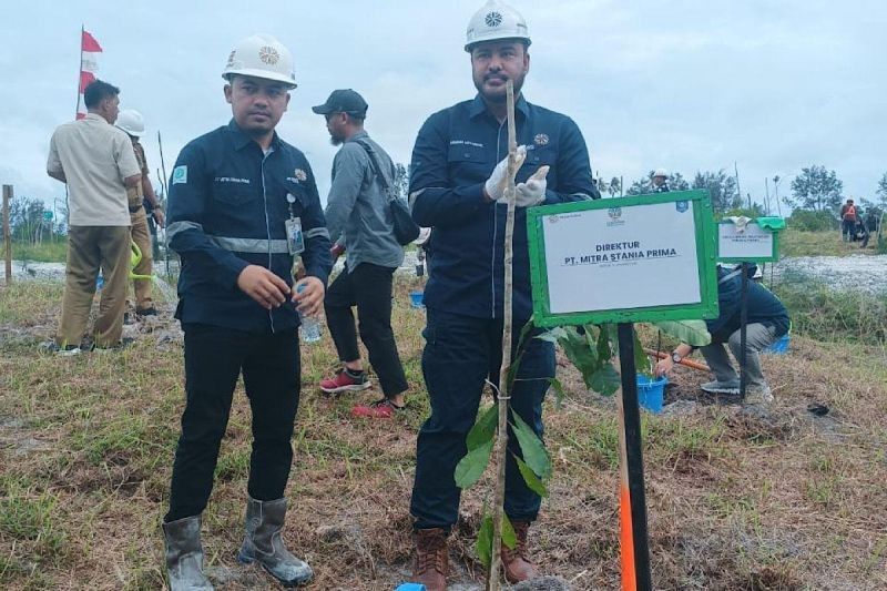 Arsari Tambang: Reboisasi 709 Hektar di Bangka Belitung