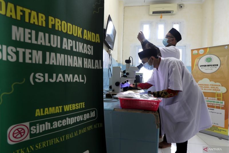 Potensi Besar Kosmetik Halal Indonesia: Ahli Dermatologi Lihat Peluang Ekonomi dan Kesehatan