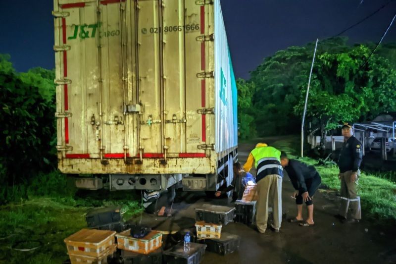 Polri dan Karantina Gagalkan Penyelundupan 982 Burung Liar di Bakauheni