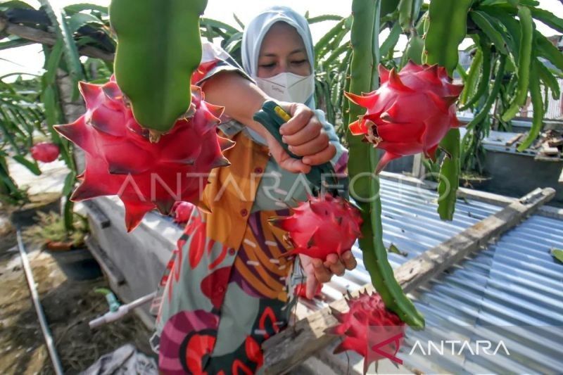 Dana Desa Aceh Rp4,73 Triliun Aman dari Efisiensi Anggaran