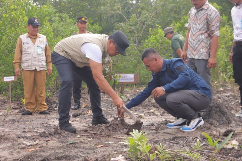 Pj Gubernur Babel dan HKM Wanamina Tanam Mangrove di Kota Kapur