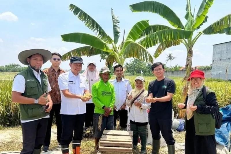 60 KWT Kota Tangerang Ikuti Pelatihan Penanganan Pascapanen untuk Tingkatkan Kualitas Pertanian