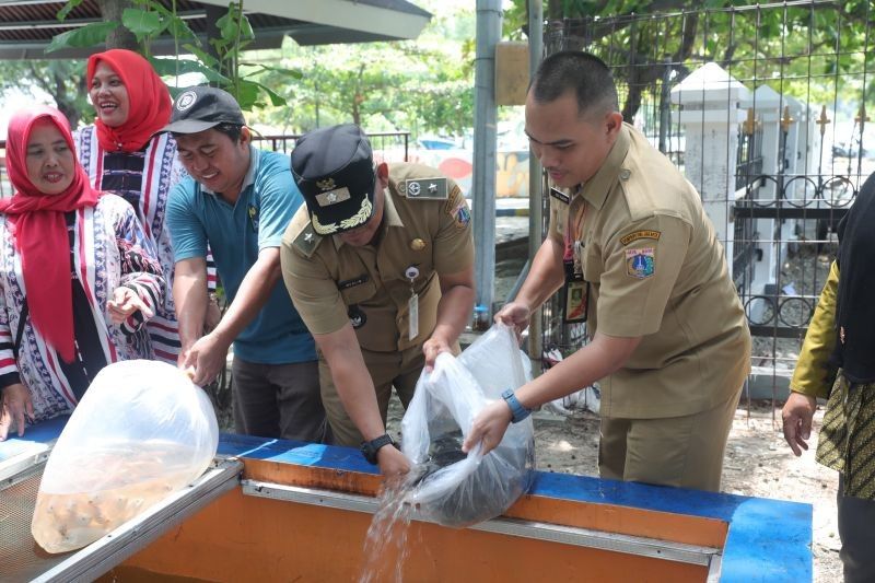 500 Bibit Ikan Nila untuk Edukasi Gizi di Pulau Kelapa