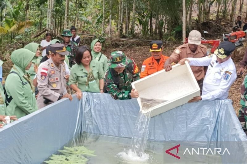 Kodim Biak Dorong Ekonomi Warga Kampung Busdori Lewat Budidaya Ikan Lele