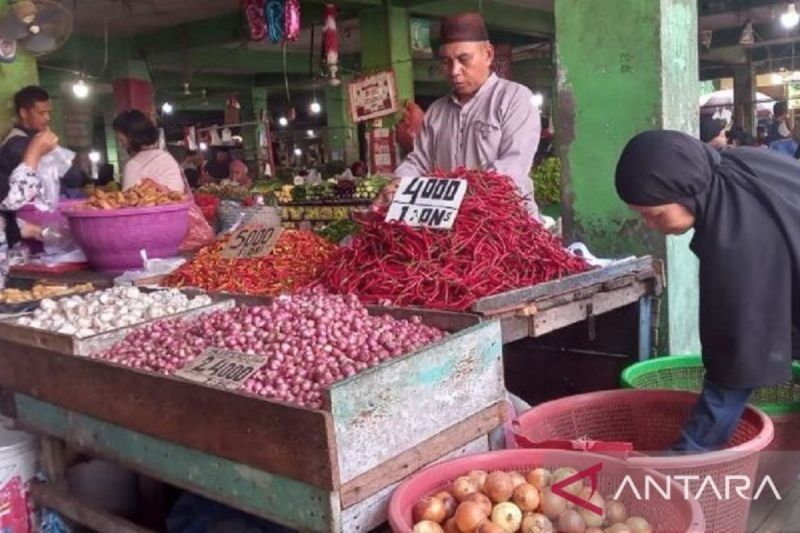 Babel Tambah Pasokan 49 Ton Bawang Jelang Ramadhan: Stok Aman, Harga Terkendali?