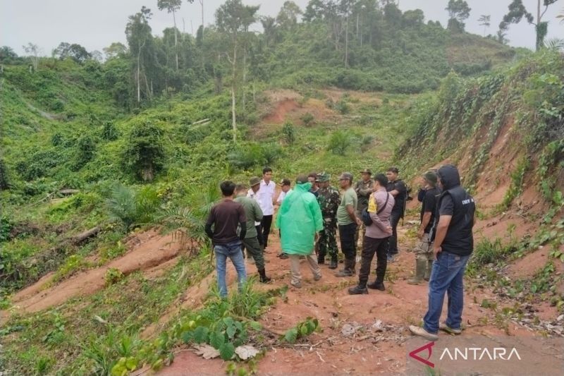 BKSDA Bengkulu Tangani Kemunculan Harimau Sumatera di Mukomuko