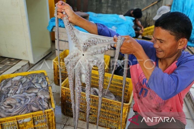 Rp109 Miliar Dana Desa Tahap Awal Tersalurkan di Aceh, 15 Kabupaten/Kota Masih Menunggu