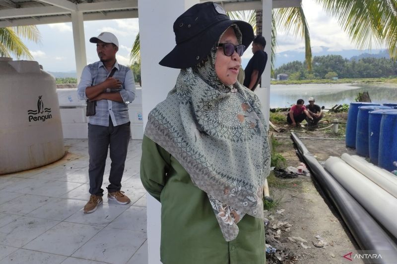 Mangrove Terancam Punah Ditemukan Subur di Donggala, Sulawesi Tengah