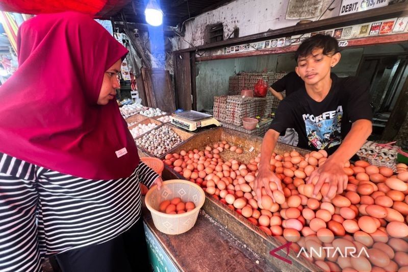 Harga Telur Ayam Tembus Rp30.000/kg, Bawang Merah Capai Rp35.850/kg!