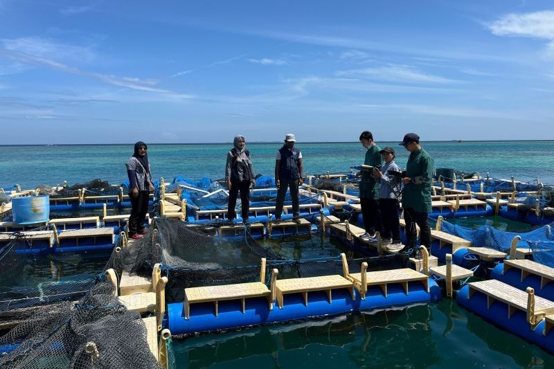 Kepulauan Seribu Waspada! Antisipasi Penyebaran Hama dan Penyakit Ikan di Lokasi Budidaya