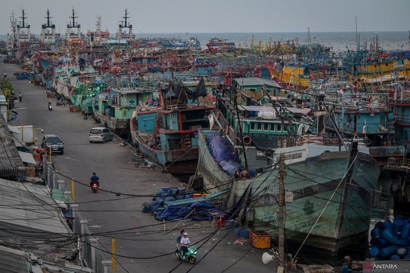 Polisi Tangkap Empat Pelaku Pengeroyokan Sopir di Pelabuhan Muara Baru