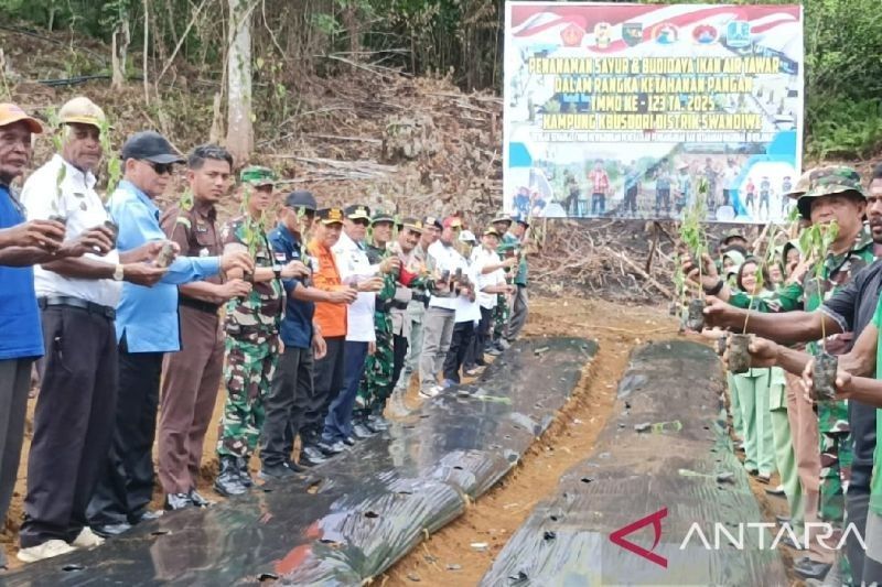 Pemkab Biak Dukung Ketahanan Pangan Nasional: Bibit Sayuran untuk Warga OAP di Kampung Busdori