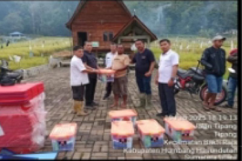 Longsor di Humbang Hasundutan Rusak Rumah dan Lahan Pertanian 24 KK