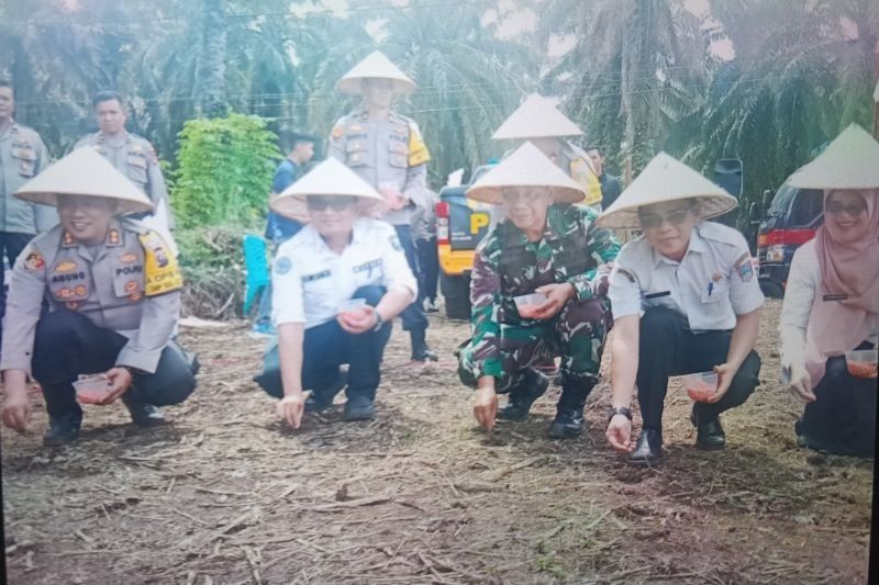 Pemkab Pasaman Barat dan Polres Kolaborasi Tanam Jagung, Jaga Ketahanan Pangan Nasional