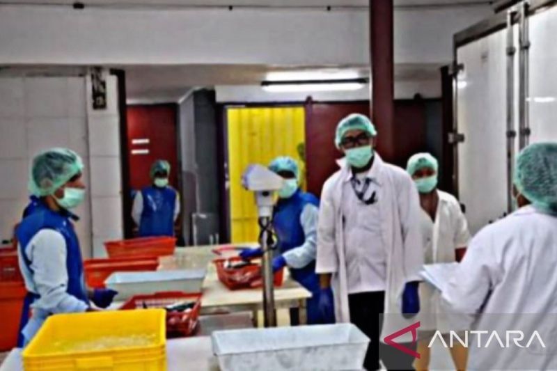 BPPMHKP Ambon Gencarkan Sertifikasi Budi Daya Ikan: Tingkatkan Mutu dan Akses Pasar Internasional