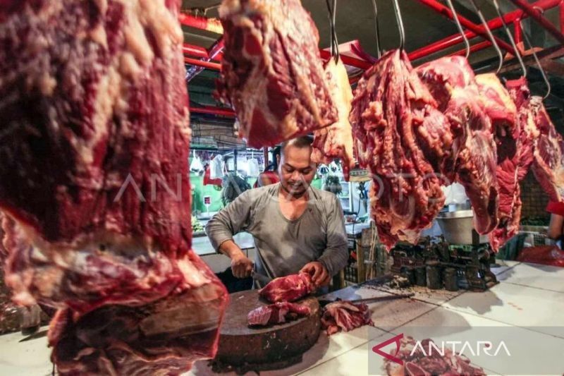 Stok Ternak Meugang di Banda Aceh Mencukupi, Harga Daging Diprediksi Naik