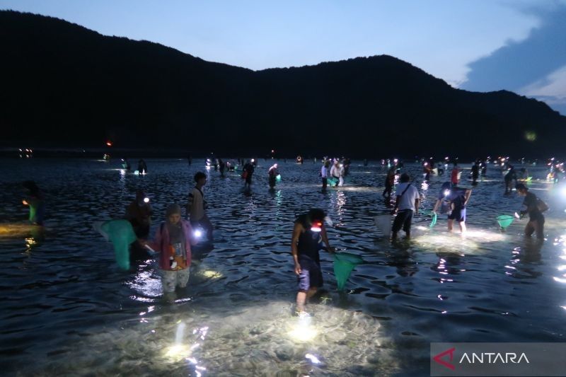 Bau Nyale di Lombok: Tradisi Unik yang Memperkuat Ikatan Sosial