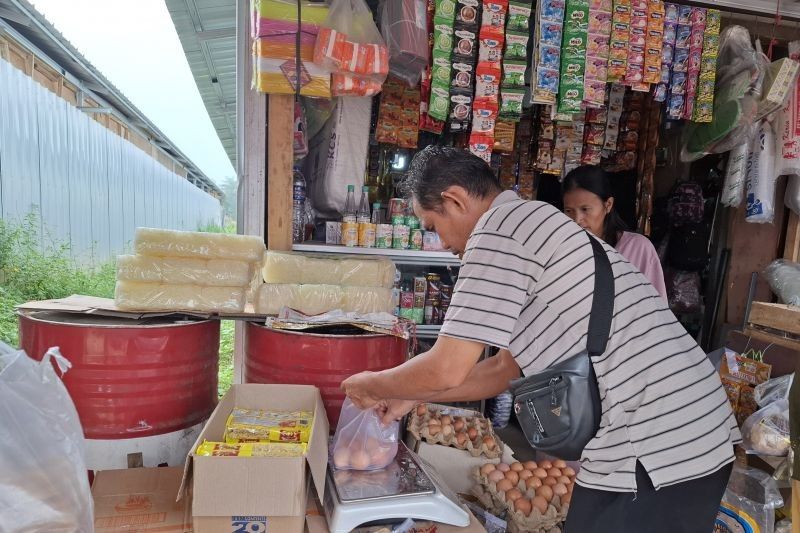 Ketersediaan Pangan Lampung Aman Hingga Mei 2025, Surplus Beras Capai 766 Ribu Ton