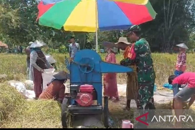 Kodim Bangkalan Dampingi Petani, Dorong Swasembada Pangan Nasional