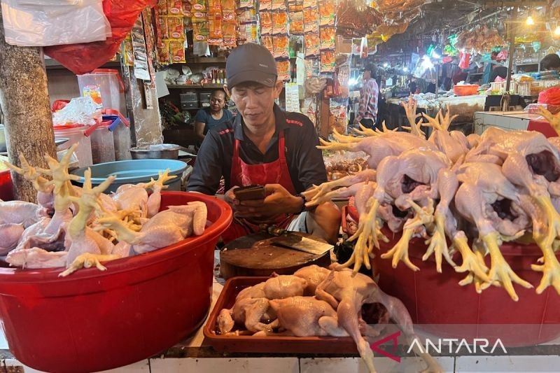 Harga Pangan Hari Ini: Daging Ayam Rp34.150, Cabai Rawit Tembus Rp71.300 per Kg