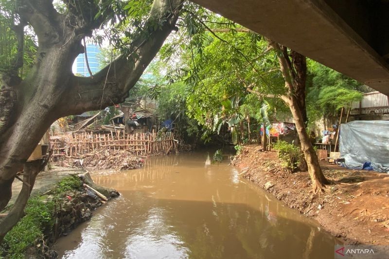 Wagub Rano Karno Pertimbangkan Bangun Rusun di Kali Krukut untuk Atasi Banjir