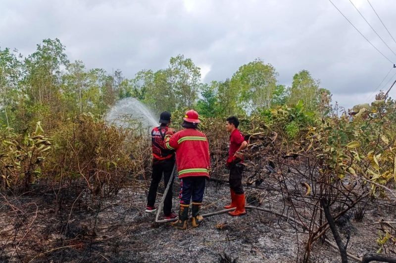 Karhutla di Natuna Padam, Dua Hektare Lahan Hangus