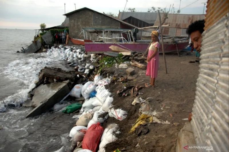 Tolitoli Ajukan Bantuan BNPB untuk Tangani Abrasi Pantai yang Ancam 14 Titik