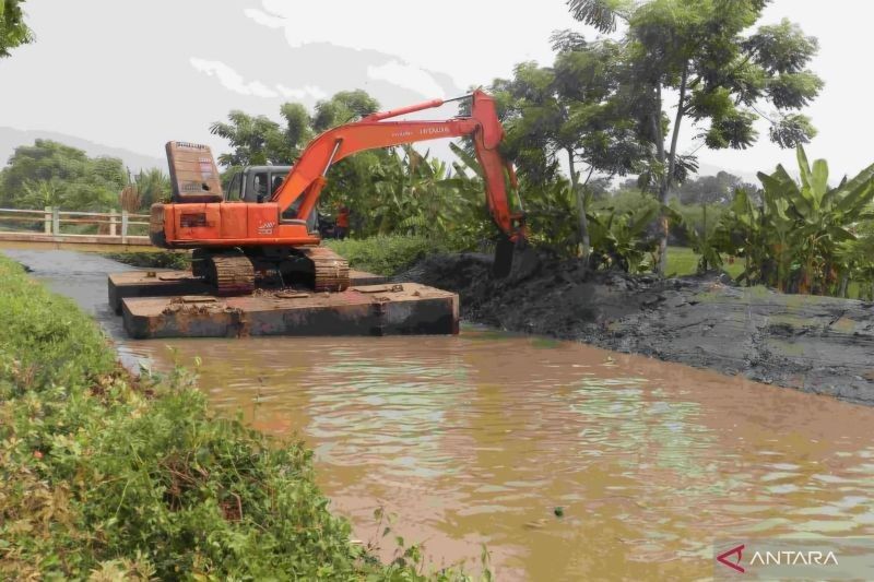 Pertanian di Ujung Timur Bekasi: Fokus Pembangunan Infrastruktur di Musrenbang Pebayuran 2024