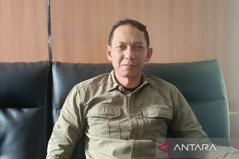 BKSDA Kaltim Selamatkan 37 Orangutan hingga Februari 2025