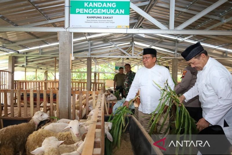 Baznas Berdayakan Mustahik di Jepara lewat Balai Ternak: Wujudkan Kemandirian Ekonomi