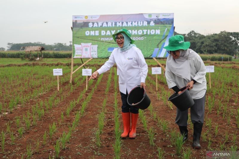 Pupuk Indonesia: Tingkatkan Kesejahteraan Petani Lewat Program Makmur