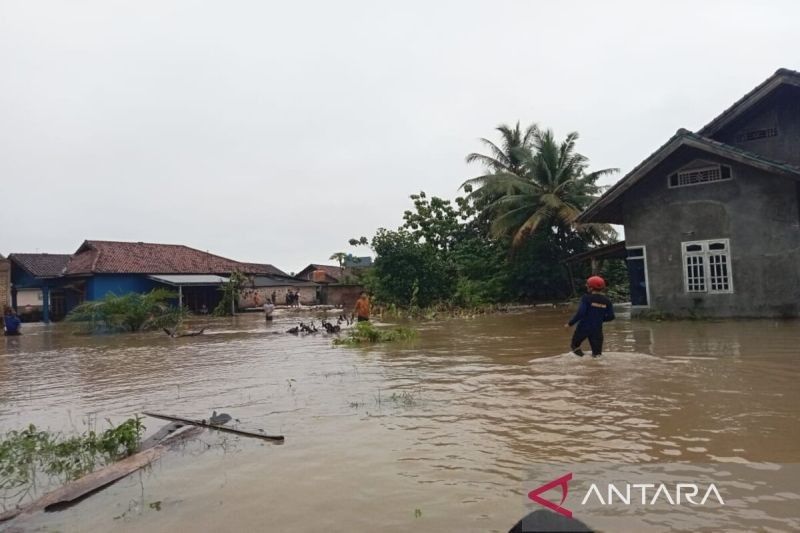 Banjir Rendam Dua Desa di Jatiagung, Lampung Selatan: BPBD Lakukan Evakuasi