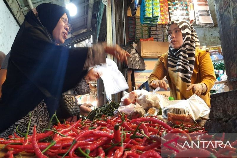 Harga Cabai di Pariaman Turun Jelang Ramadan, Tapi...