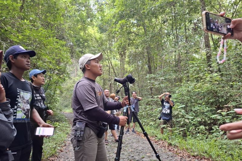 Desa Plangijo: Program 