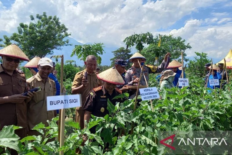 Pemkab Sigi Jalin Kerja Sama TNI-Polri Wujudkan Ketahanan Pangan