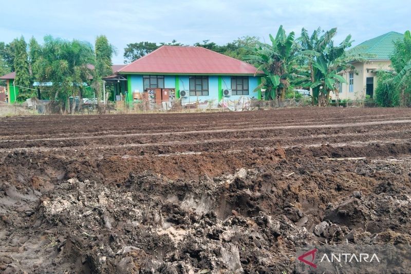 Mukomuko Minta Desa Sesuaikan APBDes 2025 untuk Program Jagung Satu Juta Hektare