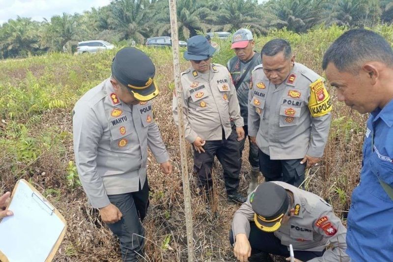 Polres Kubu Raya Tanam Jagung di Lahan 300 Hektare, Dukung Ketahanan Pangan Nasional