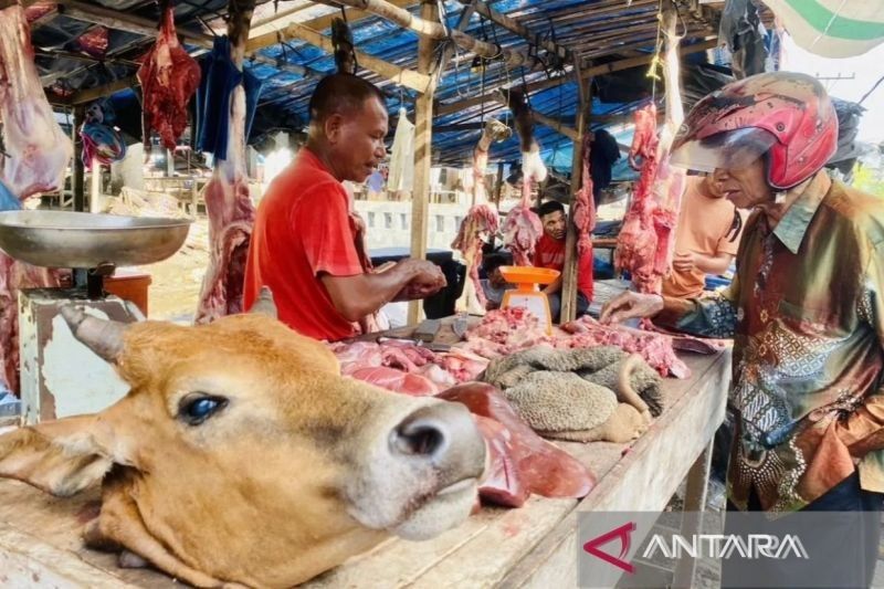 Pemkab Aceh Barat Tetapkan Lokasi Jual Daging Meugang di Pasar Bina Usaha