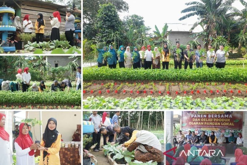 Bangka Tengah: Kelompok Wanita Tani Jadi Pilar Sukses Program Makan Bergizi Gratis