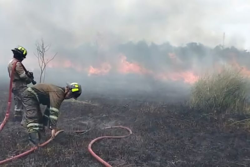 Kebakaran Lahan 5 Hektare di Bintan, Satu Unit Damkar Berjibaku Padamkan Api