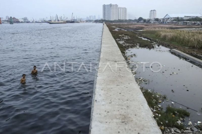 Waspada Banjir Rob! BMKG Keluarkan Peringatan Dini untuk 17 Wilayah di Indonesia