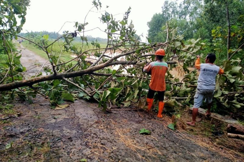 Bencana Hidrometeorologi Basah Akibatkan Korban Jiwa dan Kerusakan Bangunan di Beberapa Wilayah Indonesia